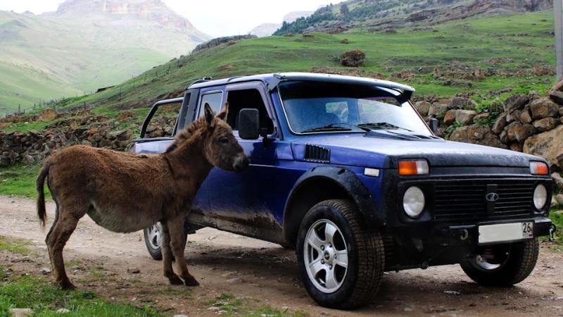 Рукастый мужик показал "АвтоВАЗ", как надо делать "Нивы": этот пикап не отличить от японских