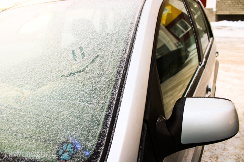Автоэксперты раскрыли, как заставить дворники чистить стекло без пропусков весь сезон