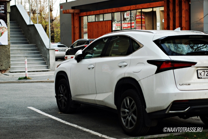 Автоюрист разъяснил, как точно отличить перекупа от честного продавца машины