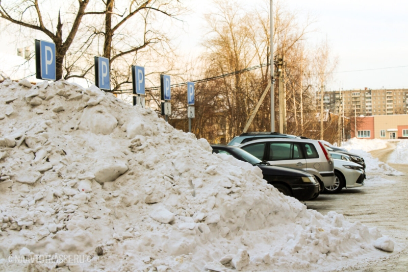 Гаишник рассказал, когда можно парковаться на местах для инвалидов