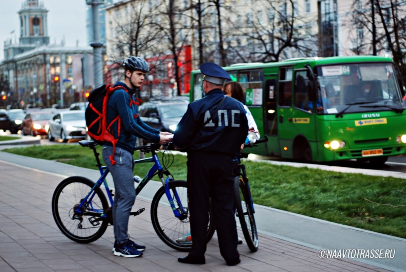 Капитан полиции рассказал, когда водитель может не садиться в патрульное авто