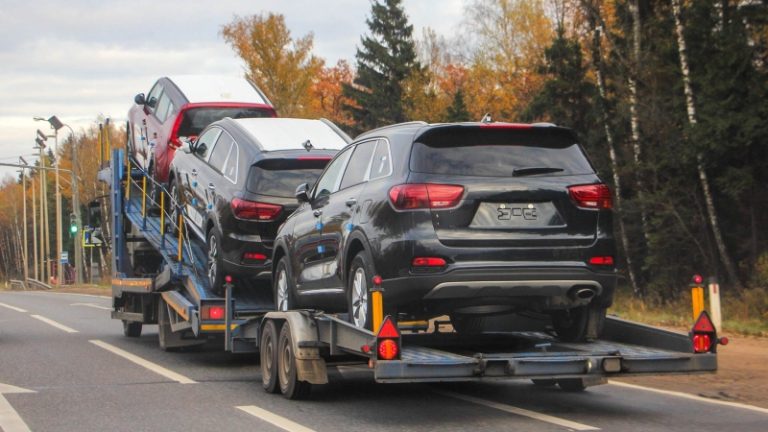 Привычная иномарка или «китаец»: названы главные риски покупки автомобиля из-за границы