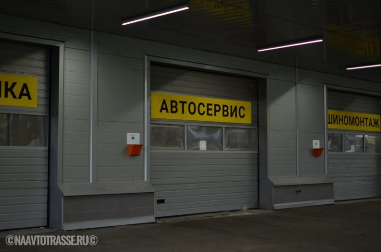 Когда нажимать на тормоз опасно: инспектор ГАИ назвал три критические ситуации на дороге