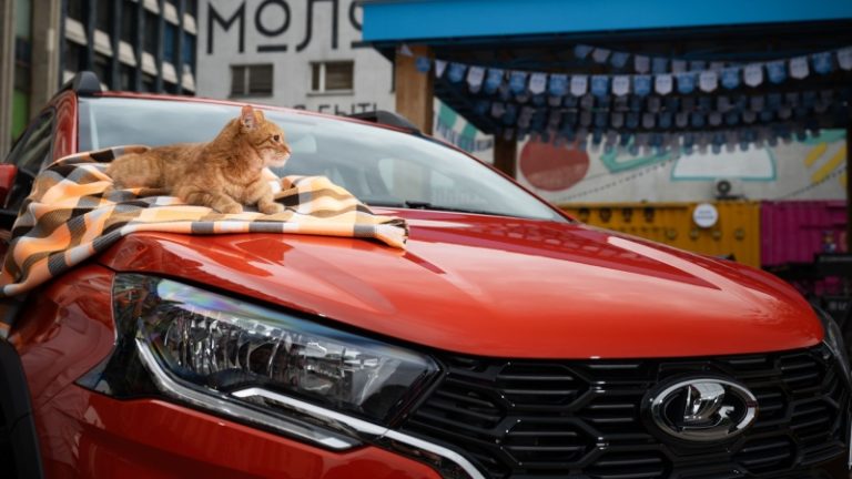 Рыжий кот стал звездой фотосессии Lada Iskra: кадры со съемок